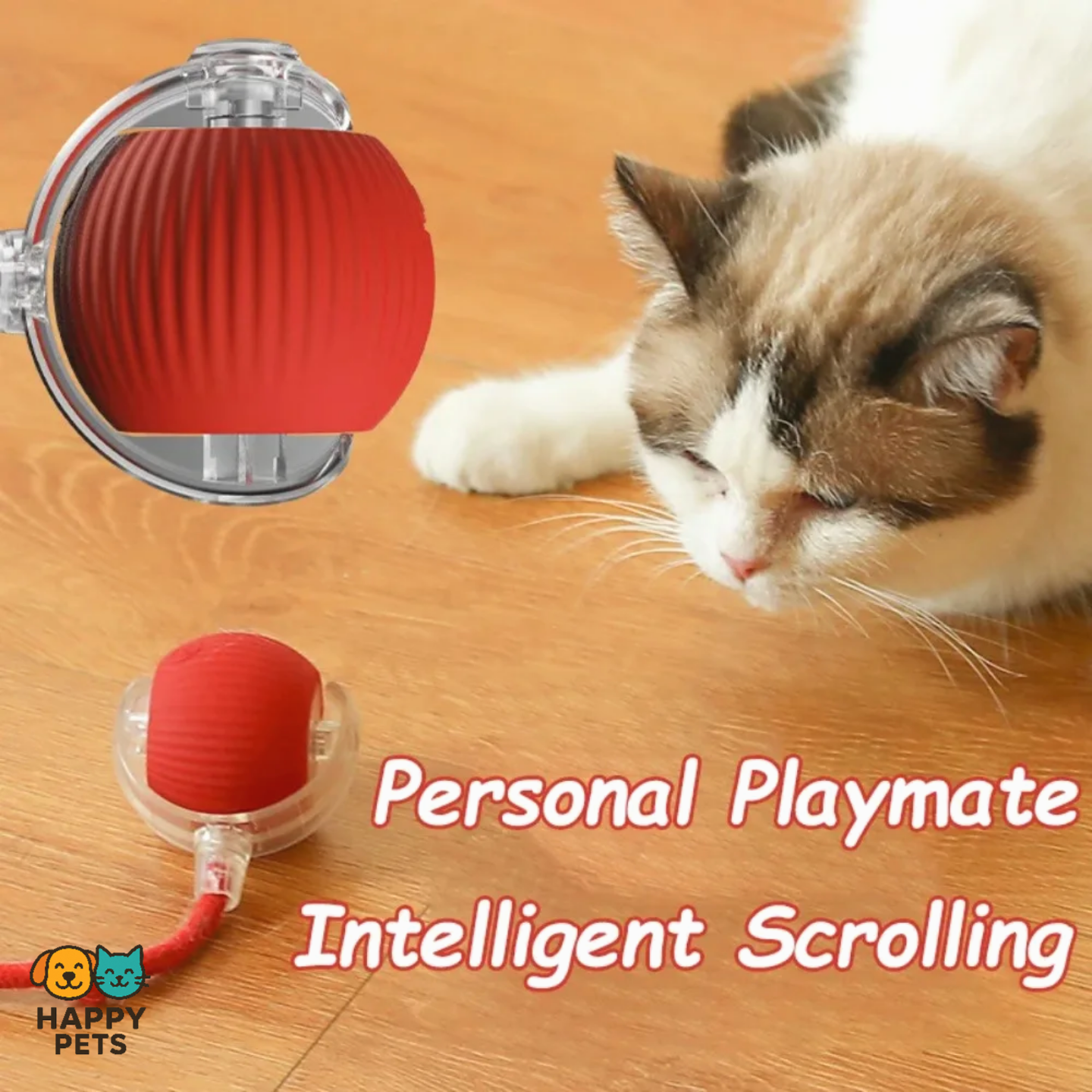 Interactive Cat Toy