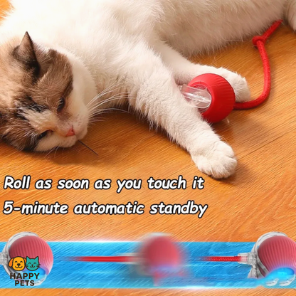 Interactive Cat Toy