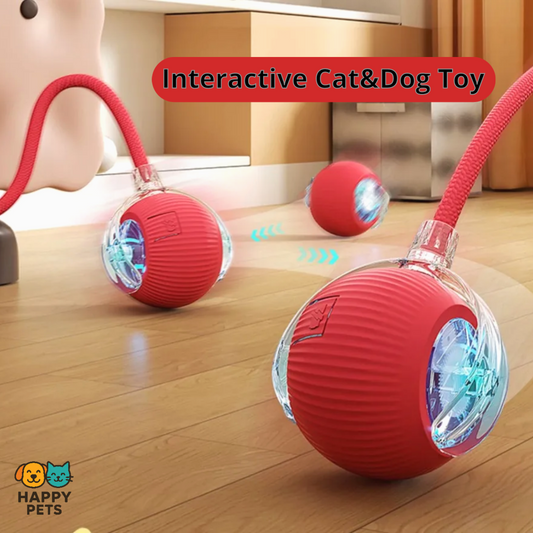 Interactive Cat Toy