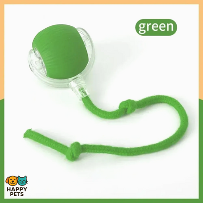 Interactive Cat Toy
