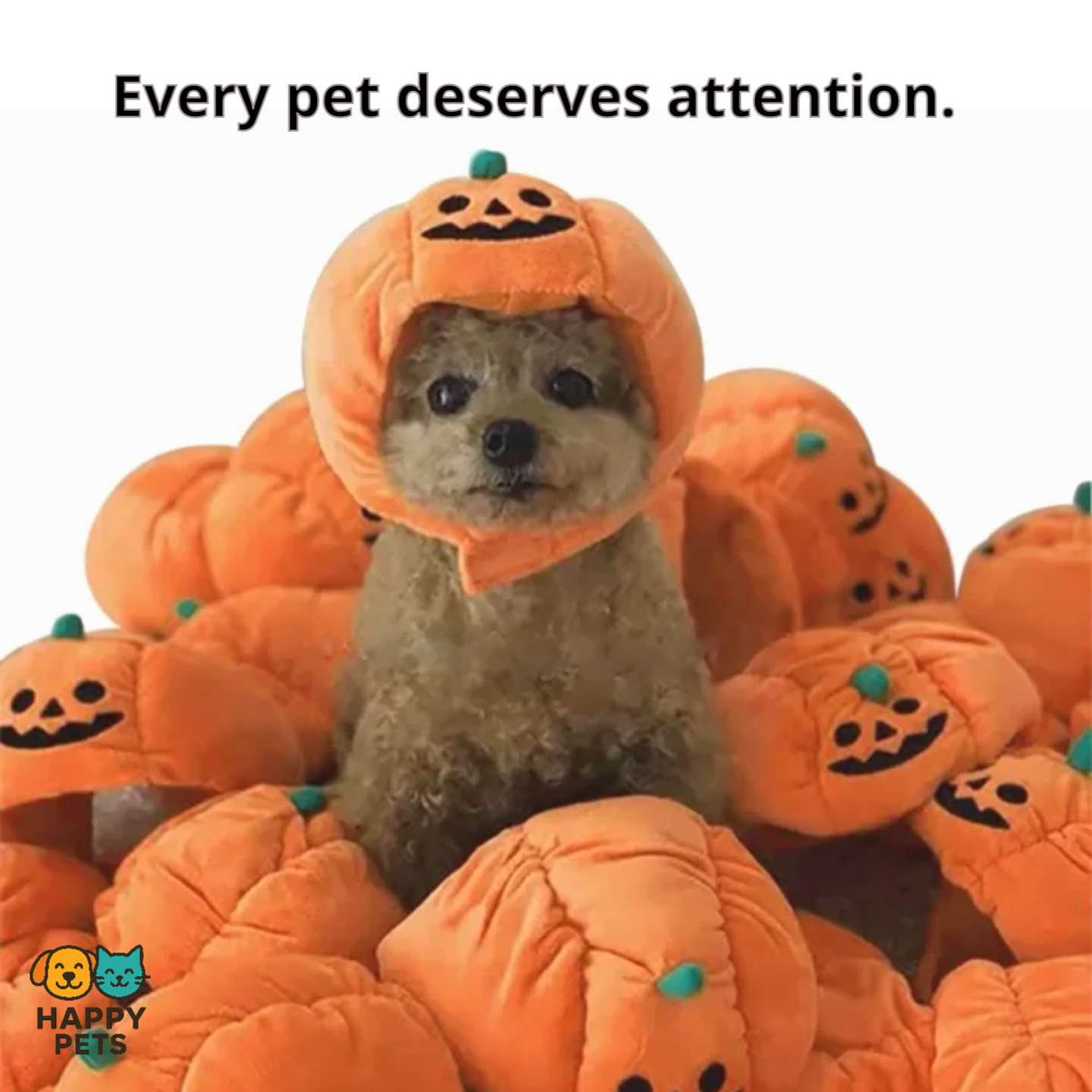 Pumpkin-shaped pet hat for Halloween
