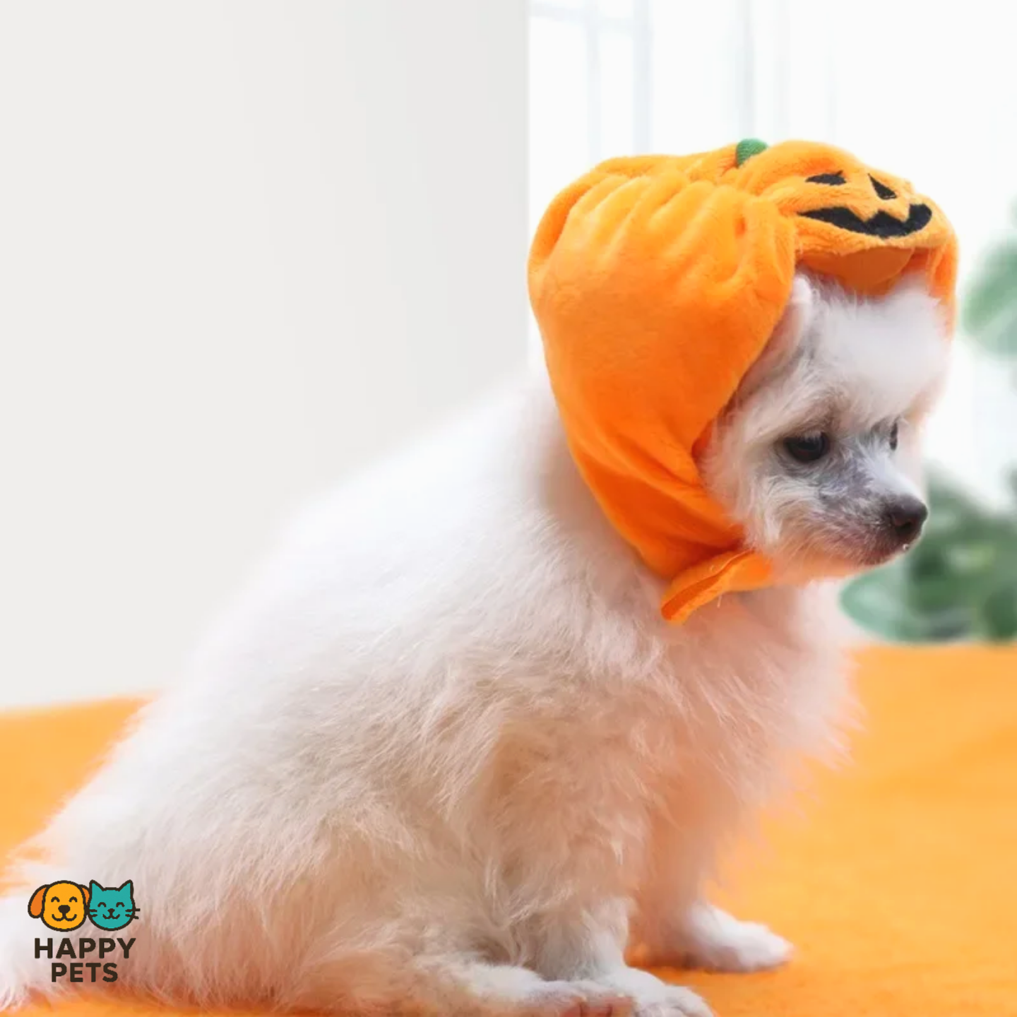 Pumpkin-shaped pet hat for Halloween