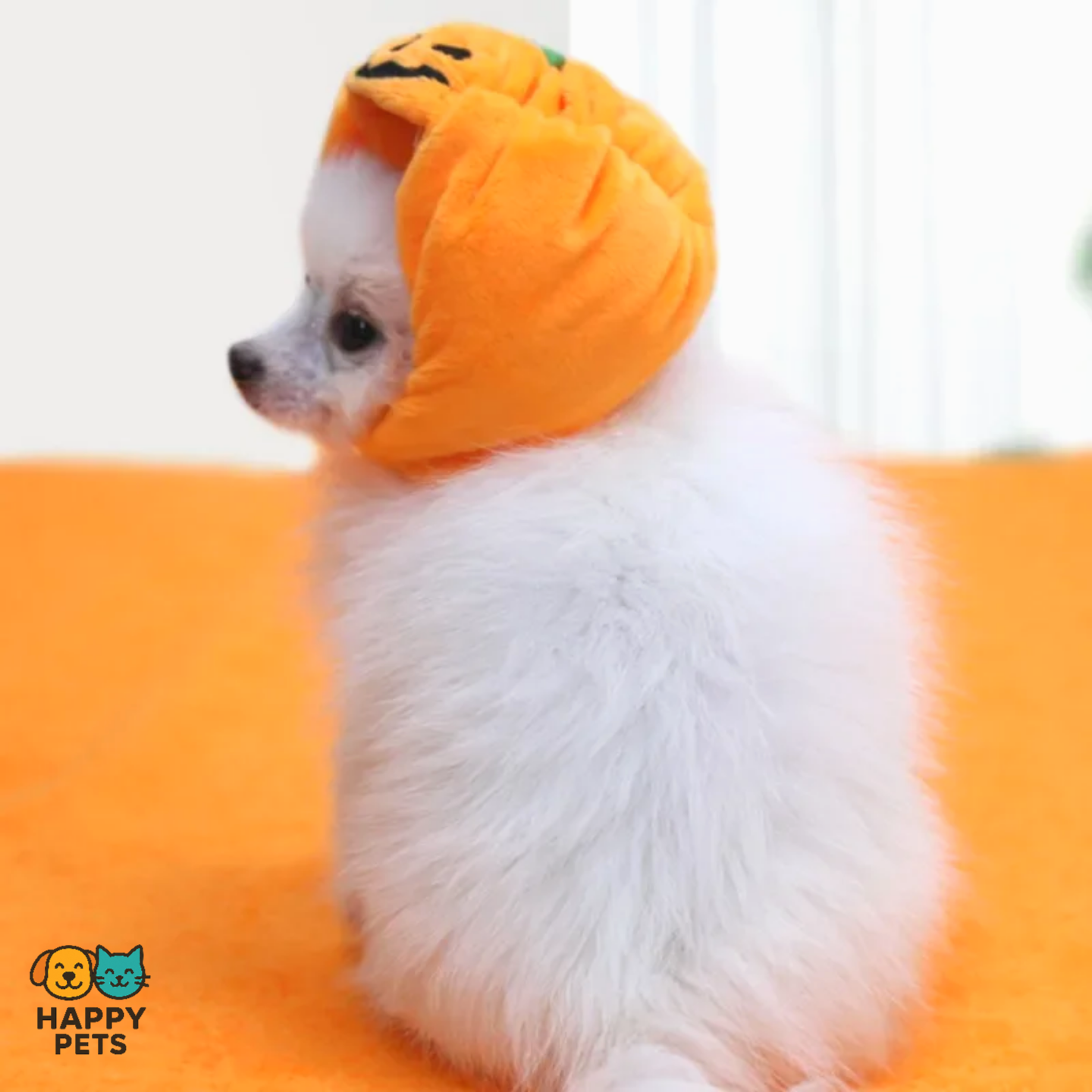 Pumpkin-shaped pet hat for Halloween
