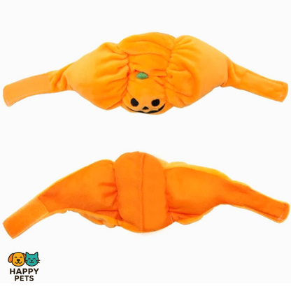 Pumpkin-shaped pet hat for Halloween